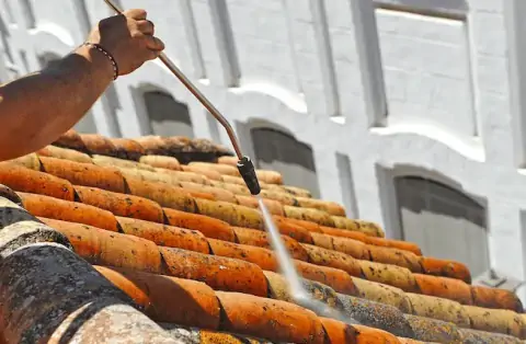 Nettoyage de toitures - Villaines-la-Gonais